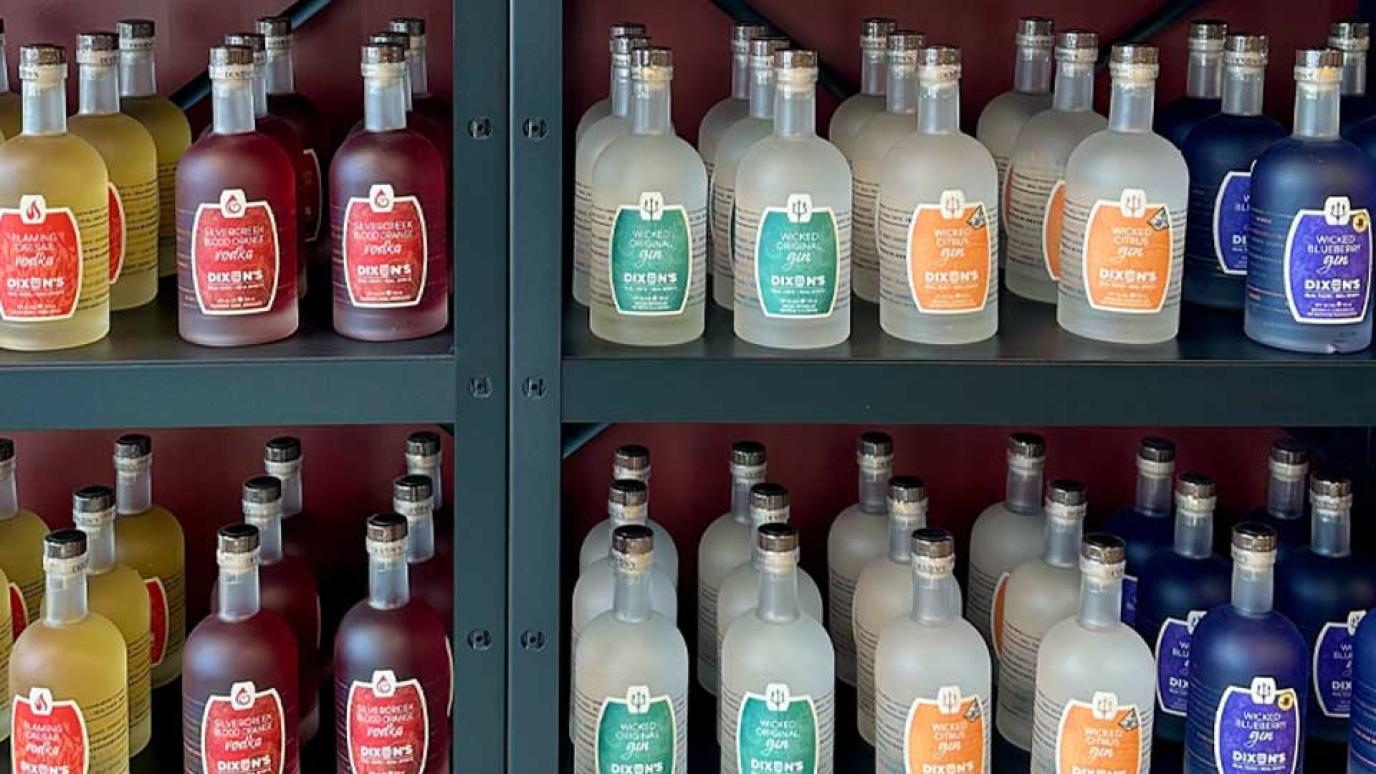 Shelving rack filled with perfectly alighted bottles of gin in an assortment of colours at Dixons Distillery