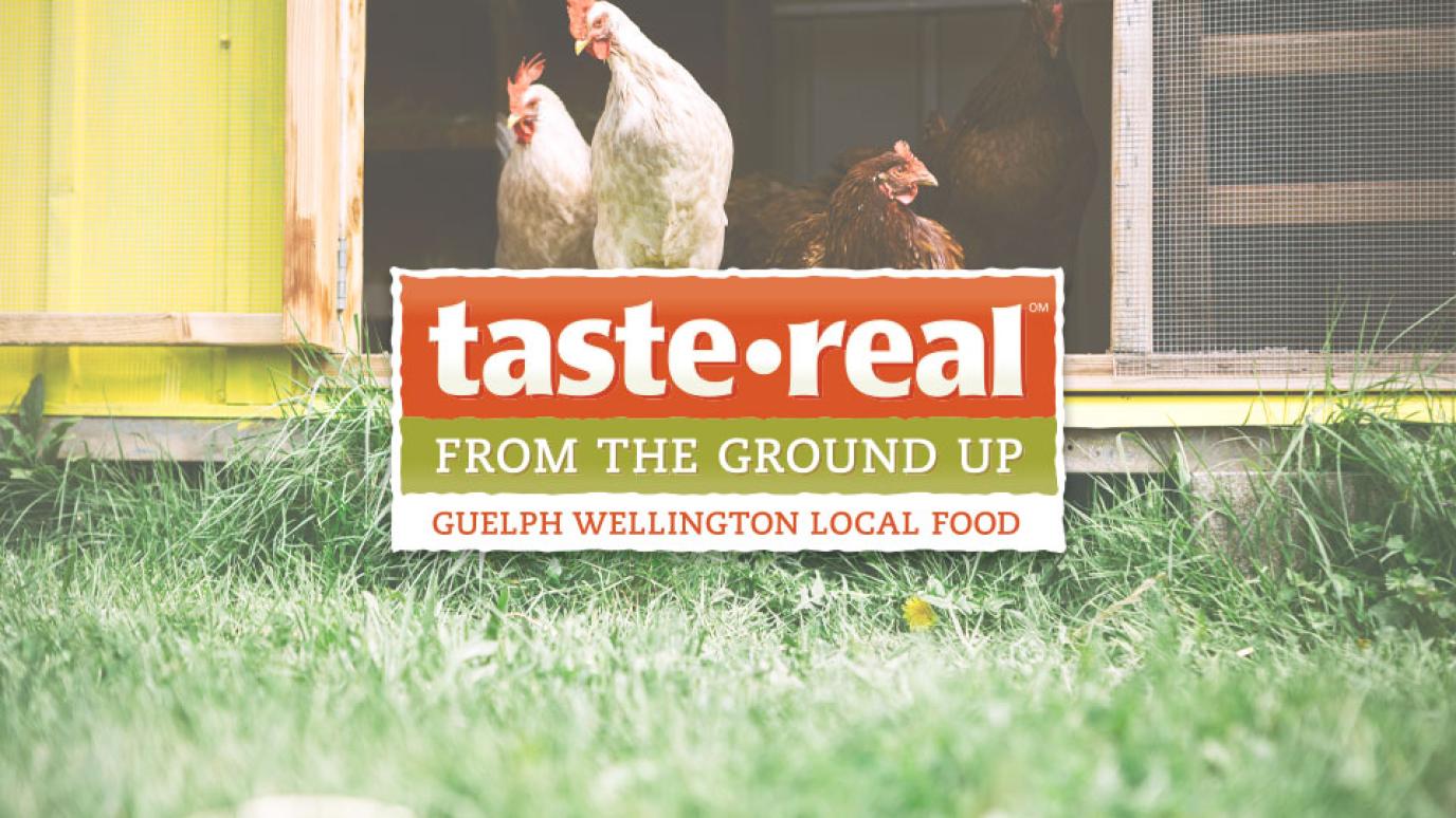 Taste Real Logo overlayed on top of an image of chickens coming out of a coop