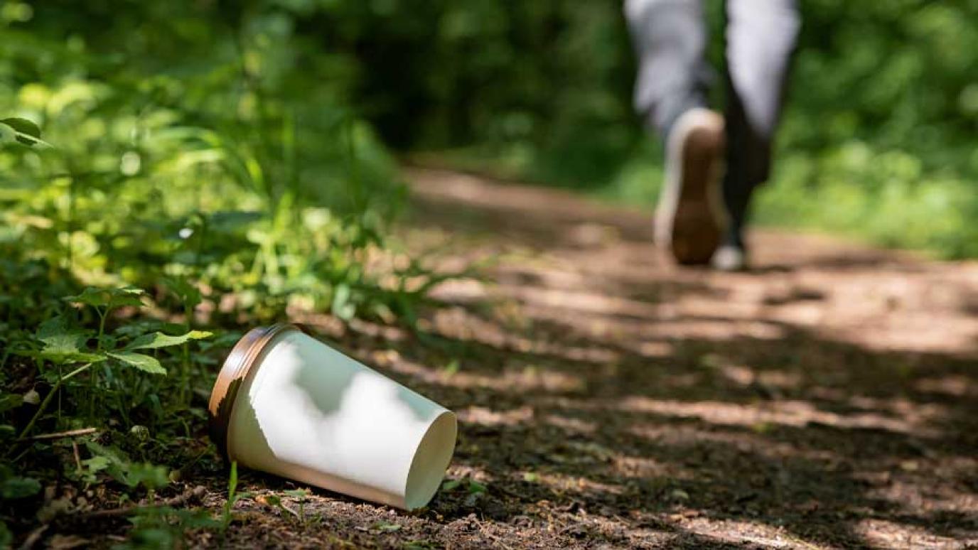 Disposable coffee cup thrown away on the ground in forest
