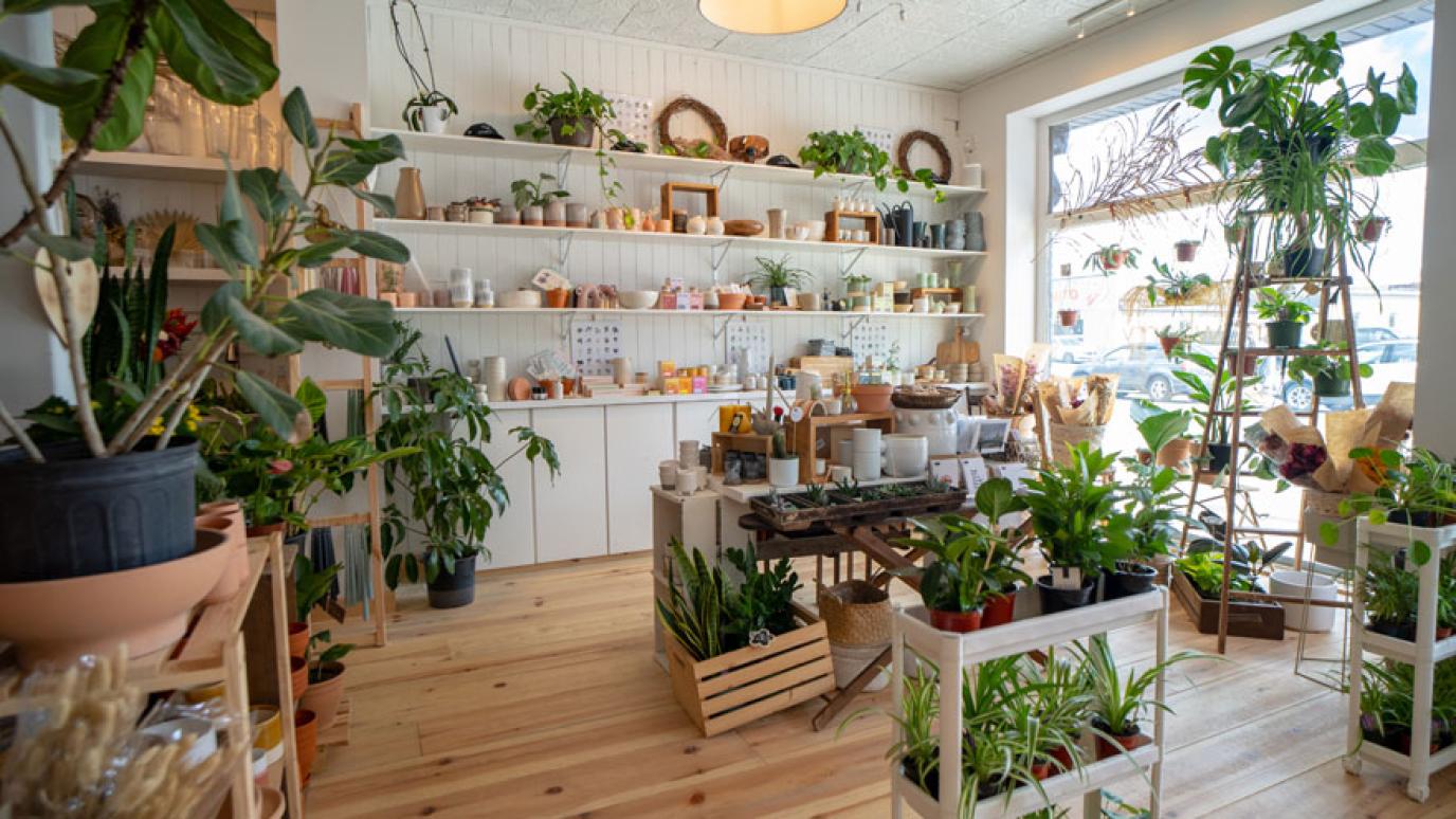 Bright, modern store interior with plants on display among gift items