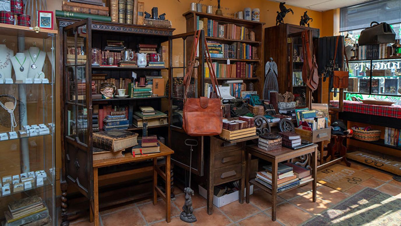 A cozy shop filled with books and reading related gifts and accessories
