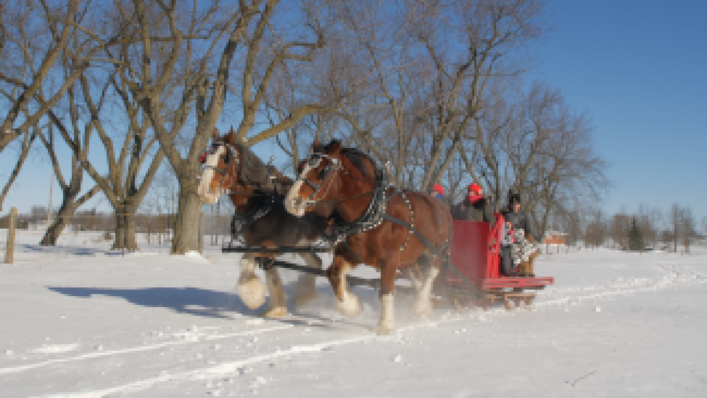 people on a horse drawn sleigh ride