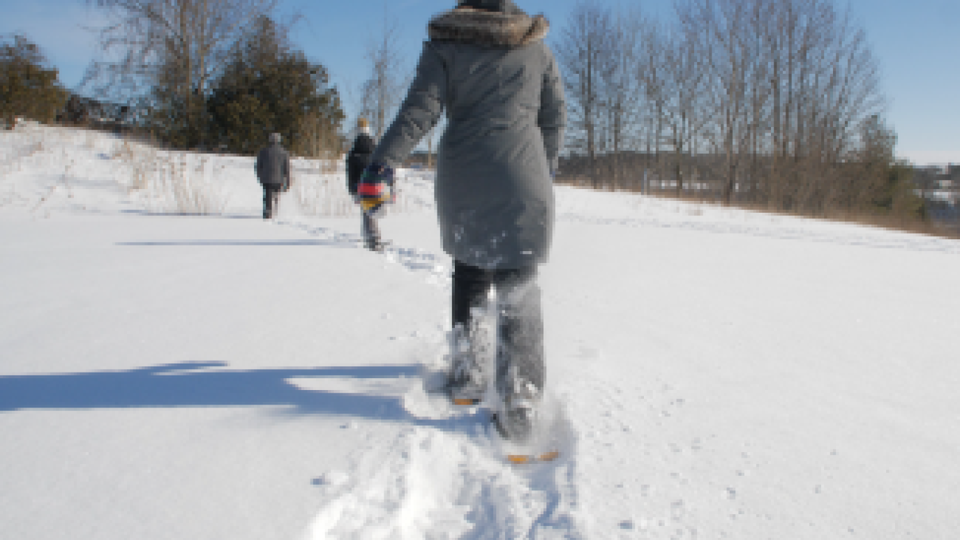 individuals snowshoeing in the country