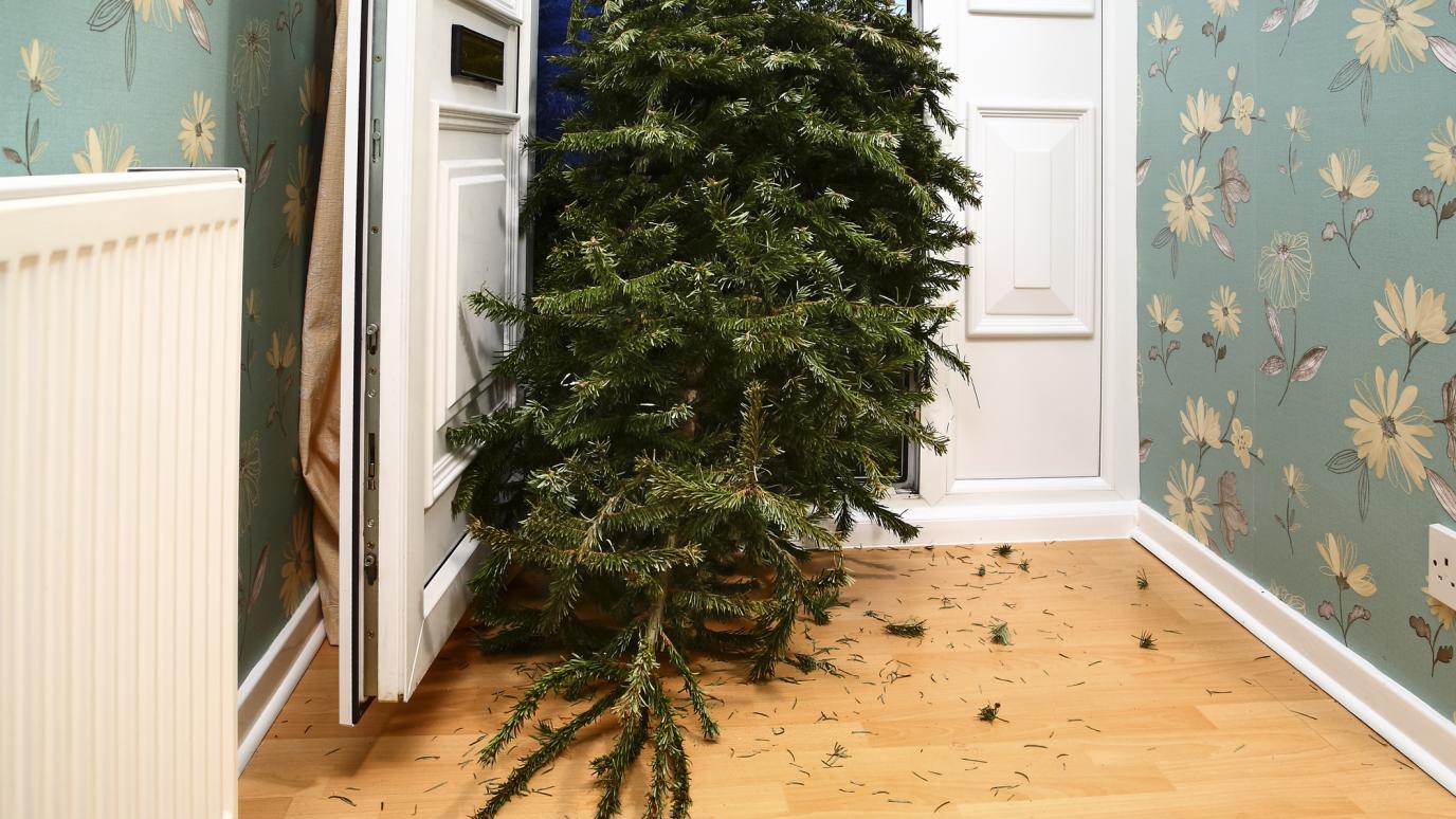 Christmas tree