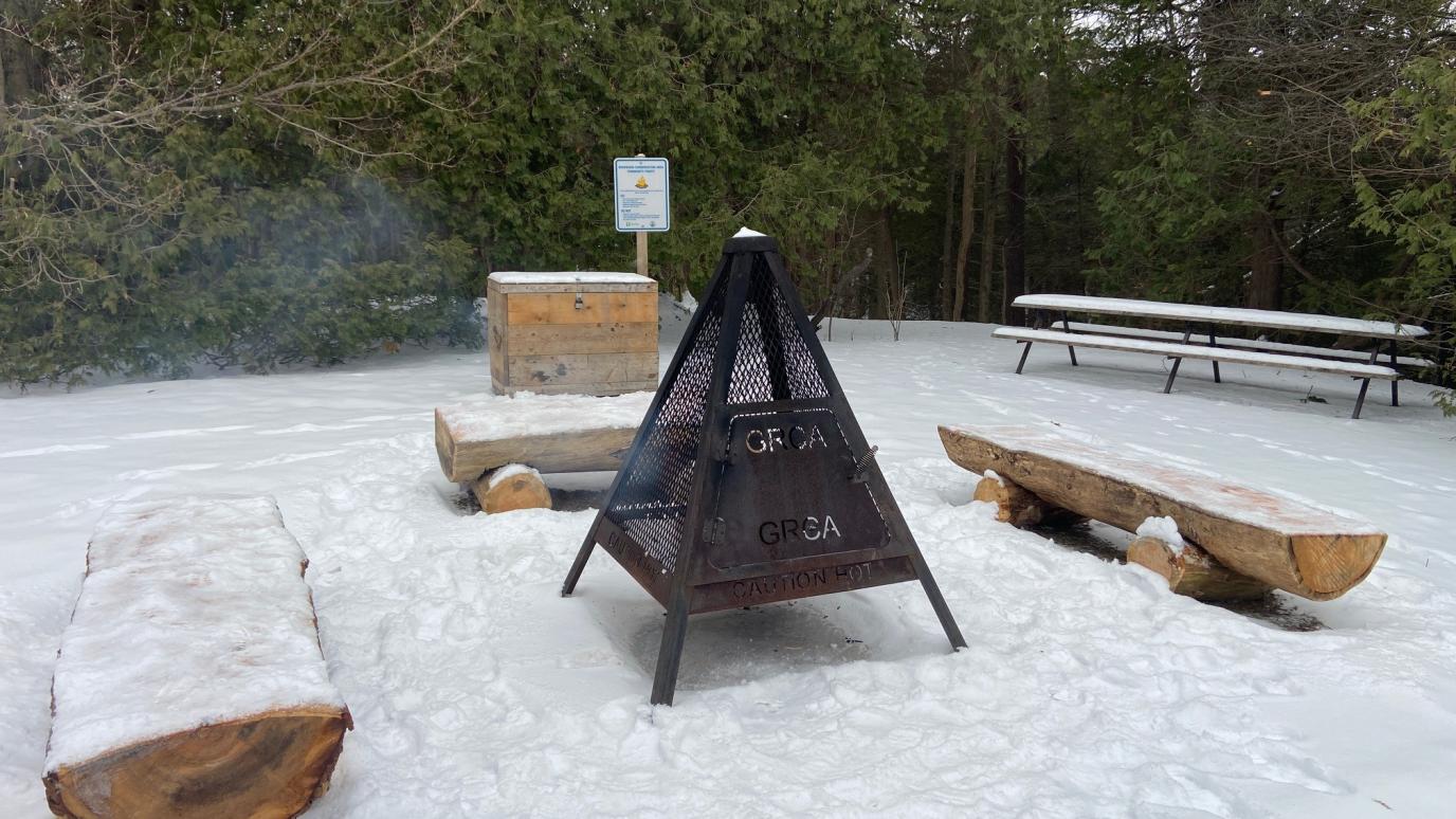 sitting logs spread around a metal fire pit
