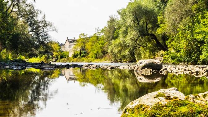 Standing in the gently flowing Grand River amongst the rocks and green trees looking upstream