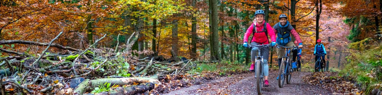 Group of friends riding mountain bikes on dirt track passing through autumn forest.