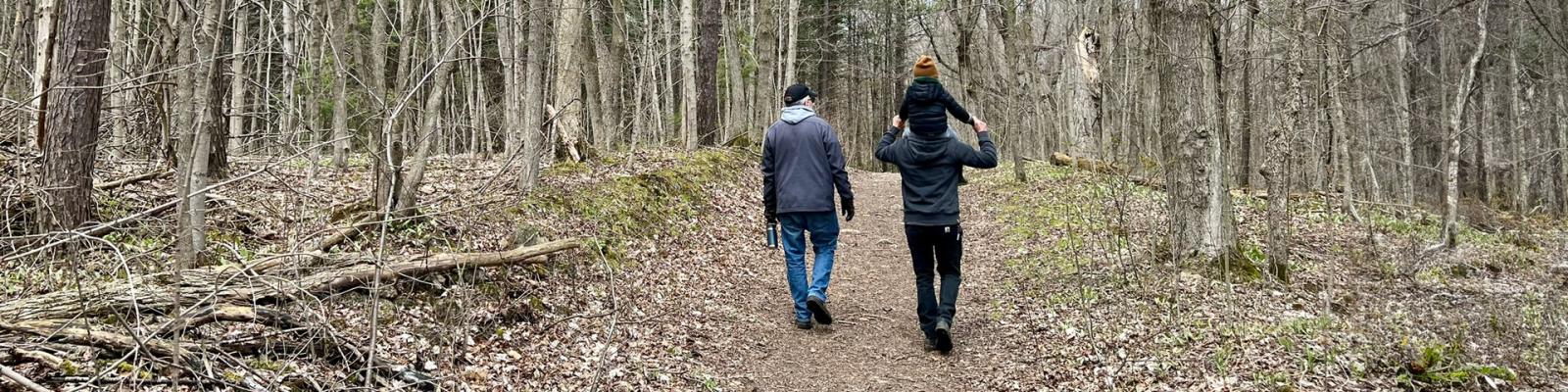 Family walking through forest on an early Spring day