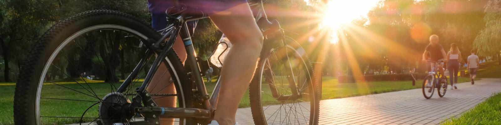 people riding bikes in a park