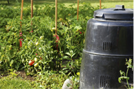 Black Compost bin in a backyard