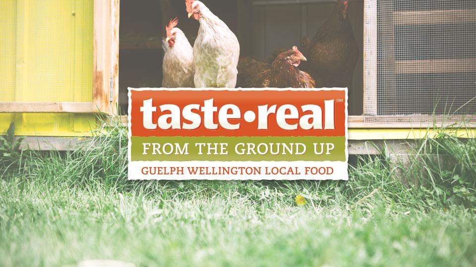 Taste Real Logo overlayed on top of an image of chickens coming out of a coop