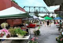 Minto farmer's market at an old railway station