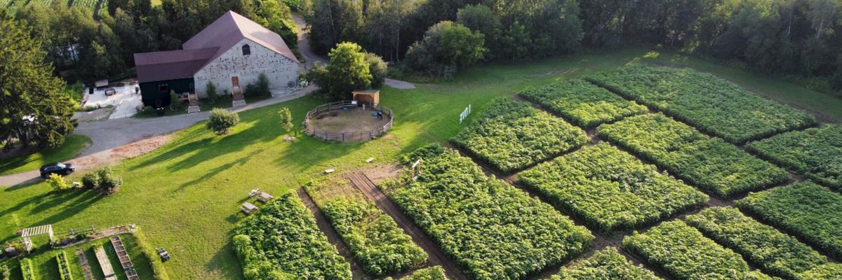 aerial view of field and barn