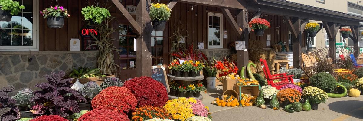 A charming farm market bursting with fall flowers, pumpkins, and seasonal colour perfect for autumn.