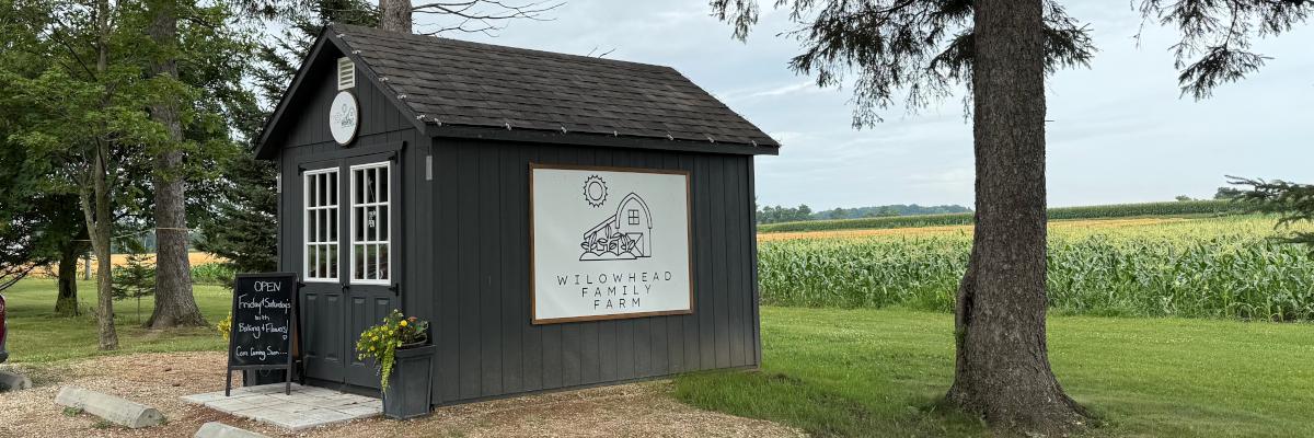 A small, dark farm store with a business sign on it stands in a grassy field next to a large tree, with a cornfield in the background.