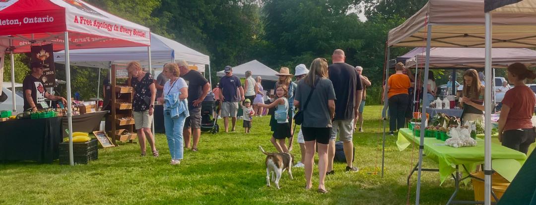 An outdoor farmers market with people walking between vendor tents on a grassy field